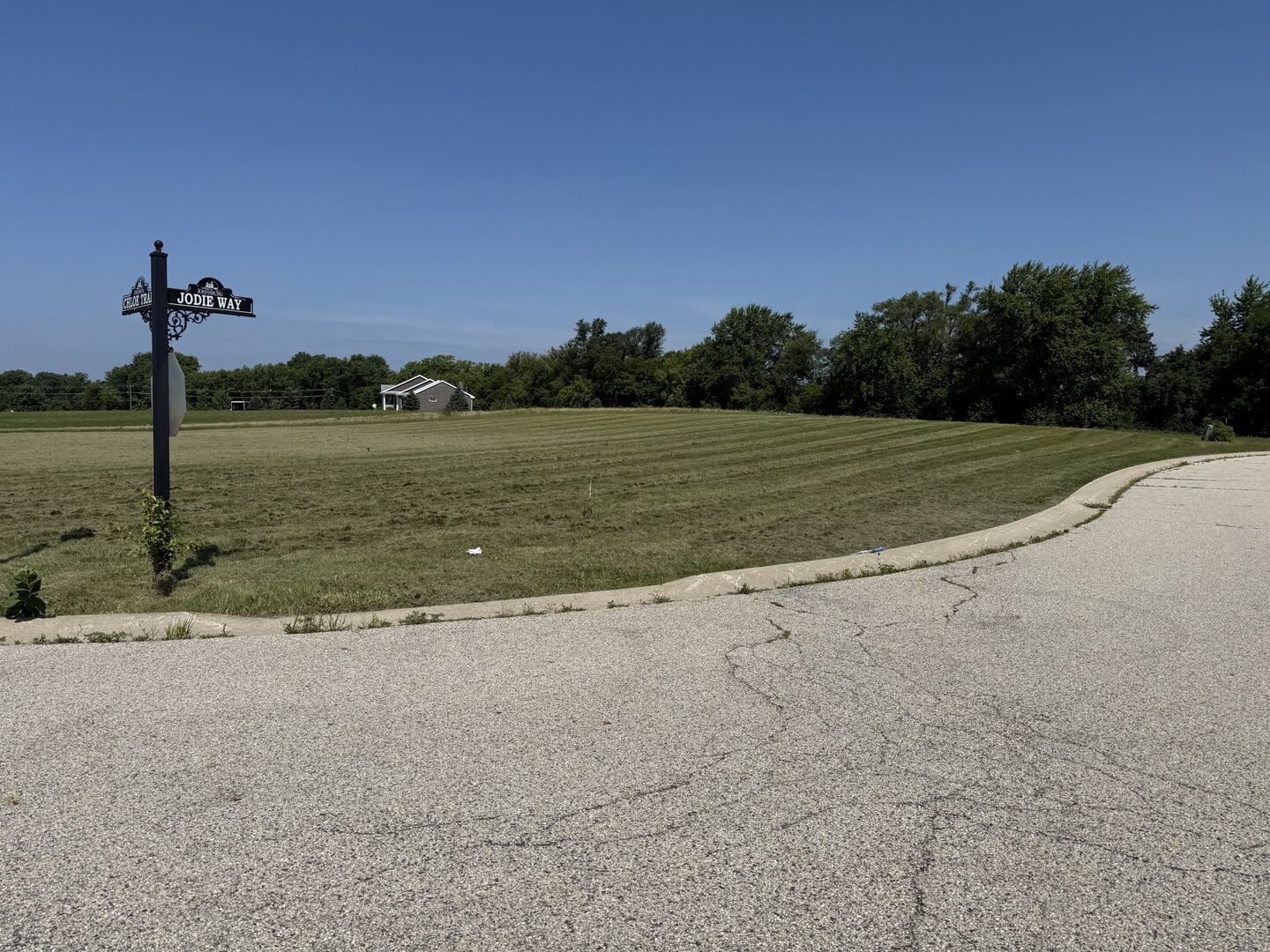 Property Photo:  Lot 10 Chloe Trail  IL 60051 