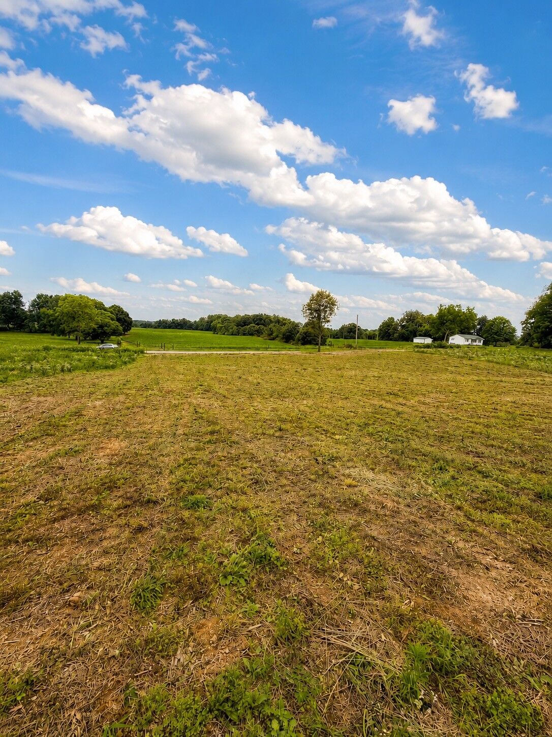 Property Photo:  520 Ferrell Rd  TN 37166 