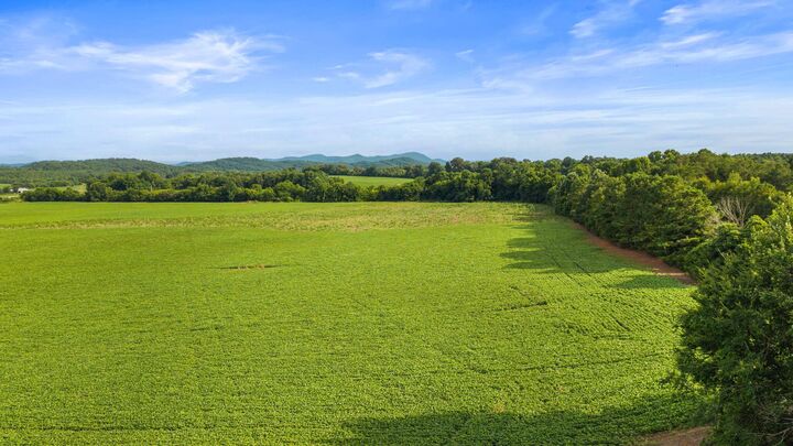 Property Photo:  1738 Highway 411  TN 37362 