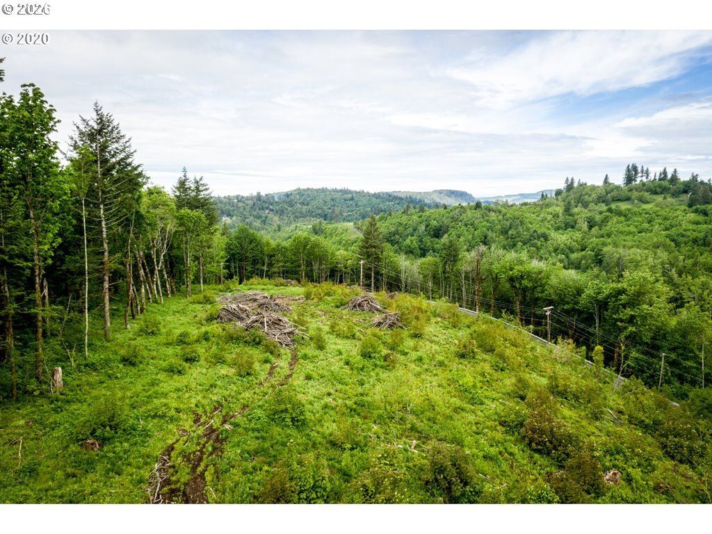 Property Photo: 0 Mt Pleasant Dr WA 98671