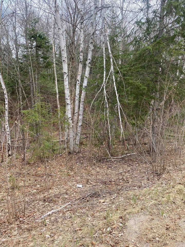Property Photo:  0 Madawaska Road  ON K0L 2S0 