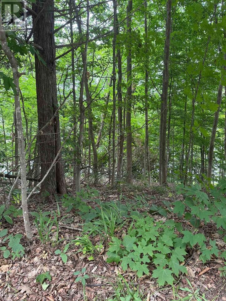 Property Photo:  0 Silver Rock Lane  ON K0H 2W0 