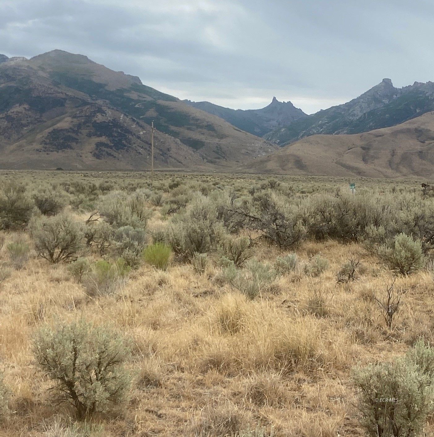 Property Photo: Tbd Lamoille Highway NV 89828