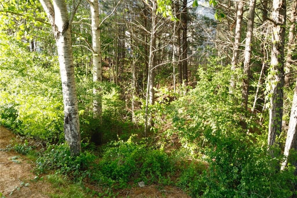 Property Photo: 0 Hollyhock Lane GA 30132