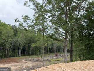 Property Photo:  2180 Dunn Rd Road  GA 30258 