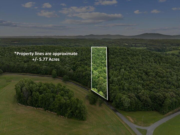 Property Photo:  00 Fricks Gap Road  GA 30707 