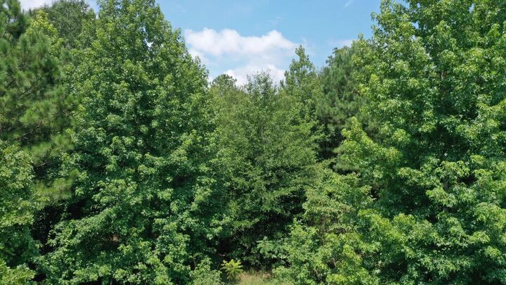 Property Photo:  0001 Cr 3885  TX 75572 