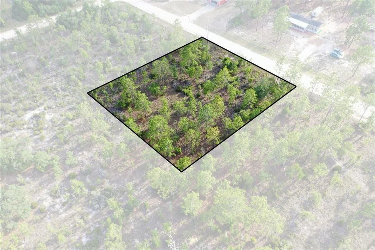 Property Photo: 0000 NE 131 Lot 7 Terrace FL 32696