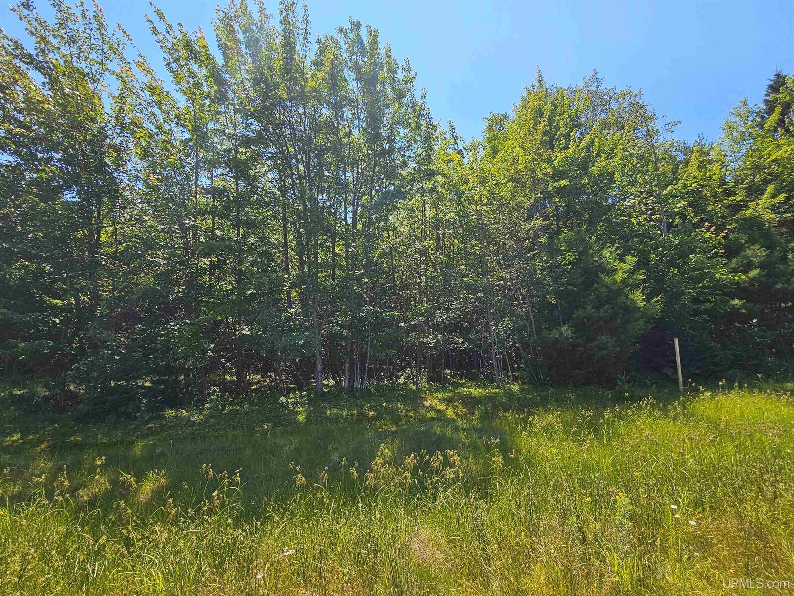 Property Photo:  Tbd Parcel M17 Applewood Drive  MI 49931 