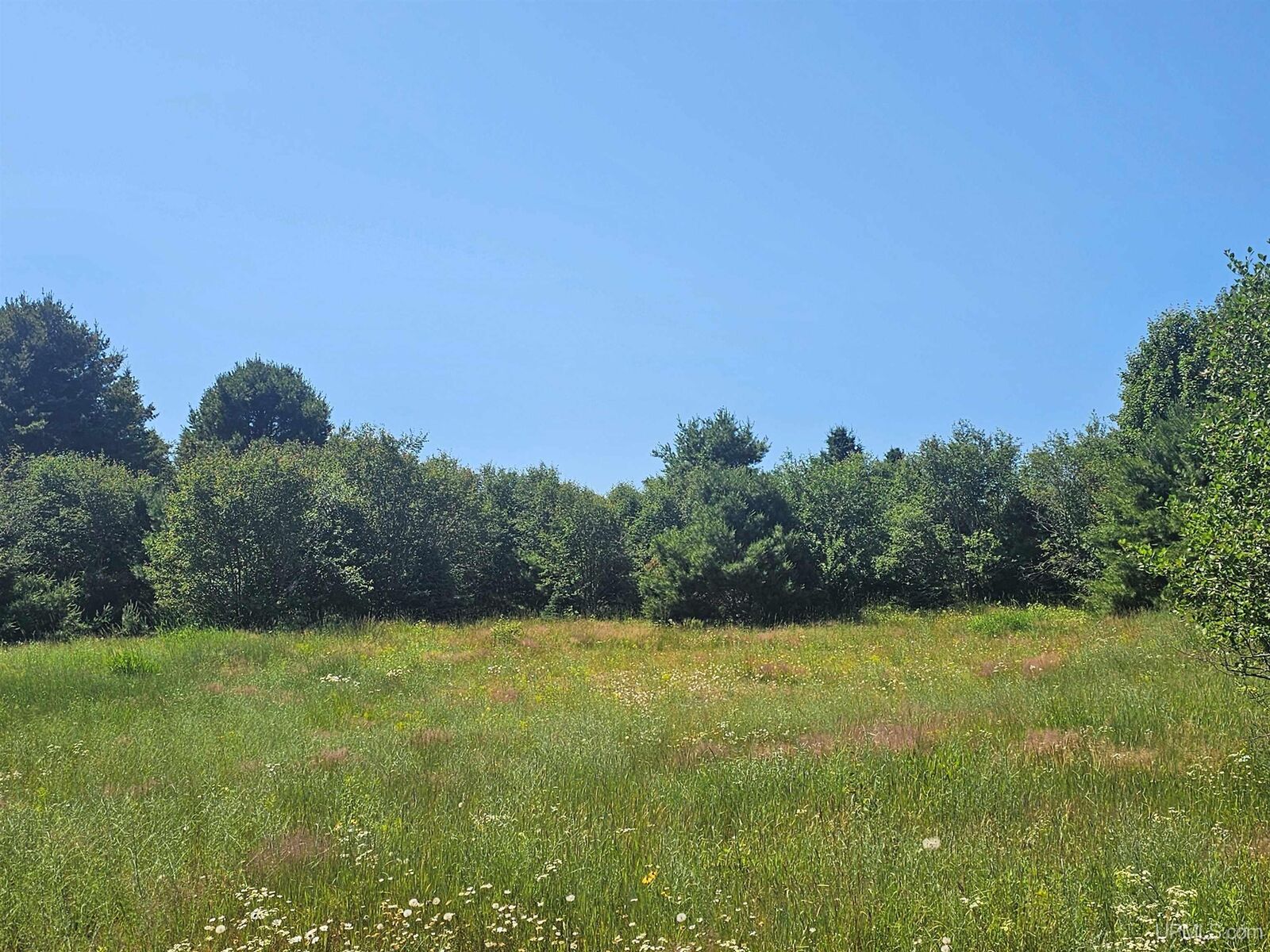 Property Photo:  Tbd Parcel M5 River Trails Road  MI 49931 