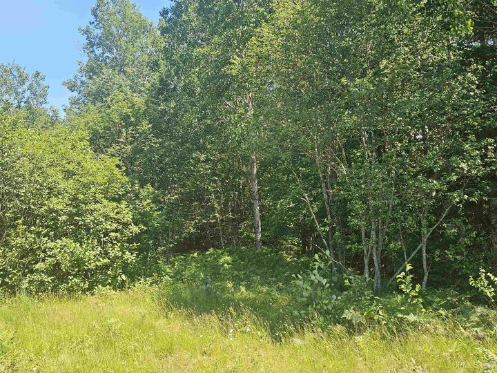 Property Photo:  Tbd Parcel M24 River Trails Road  MI 49931 