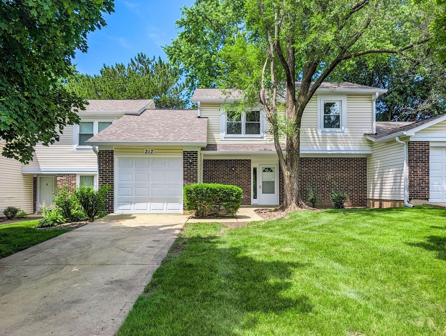 Property Photo:  217 Tamarack Drive  IL 60108 