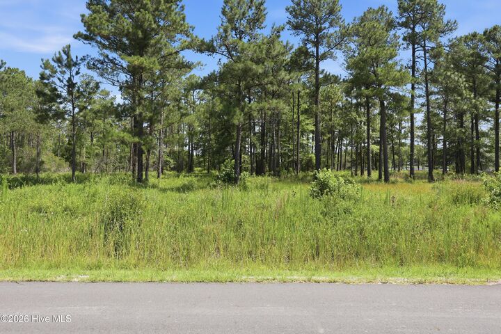 Property Photo:  247 21 &Amp 22 Shell Castle Lane  NC 28587 