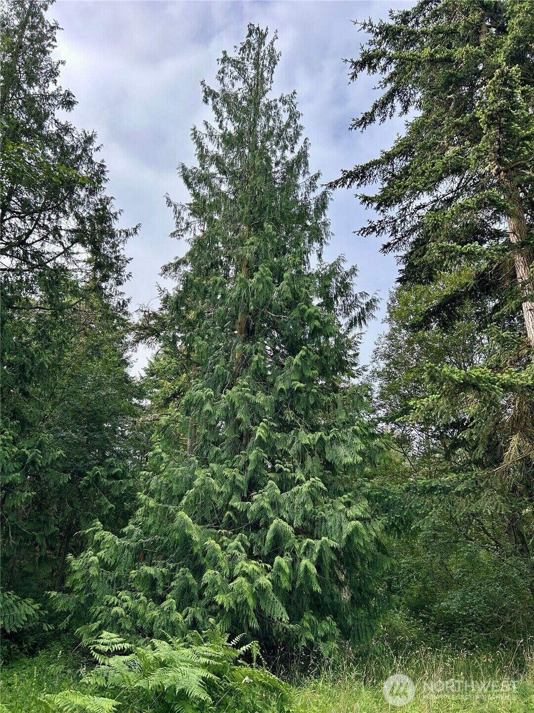 Property Photo:  3202  Cliff Street  WA 98368 
