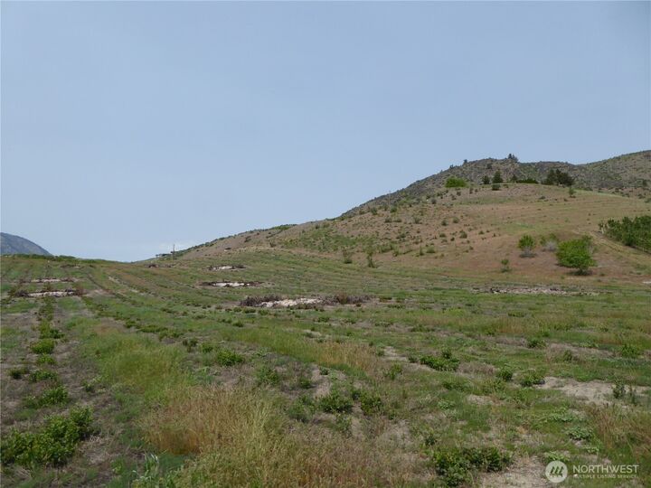 Property Photo: 5 Roses View Lane WA 98831
