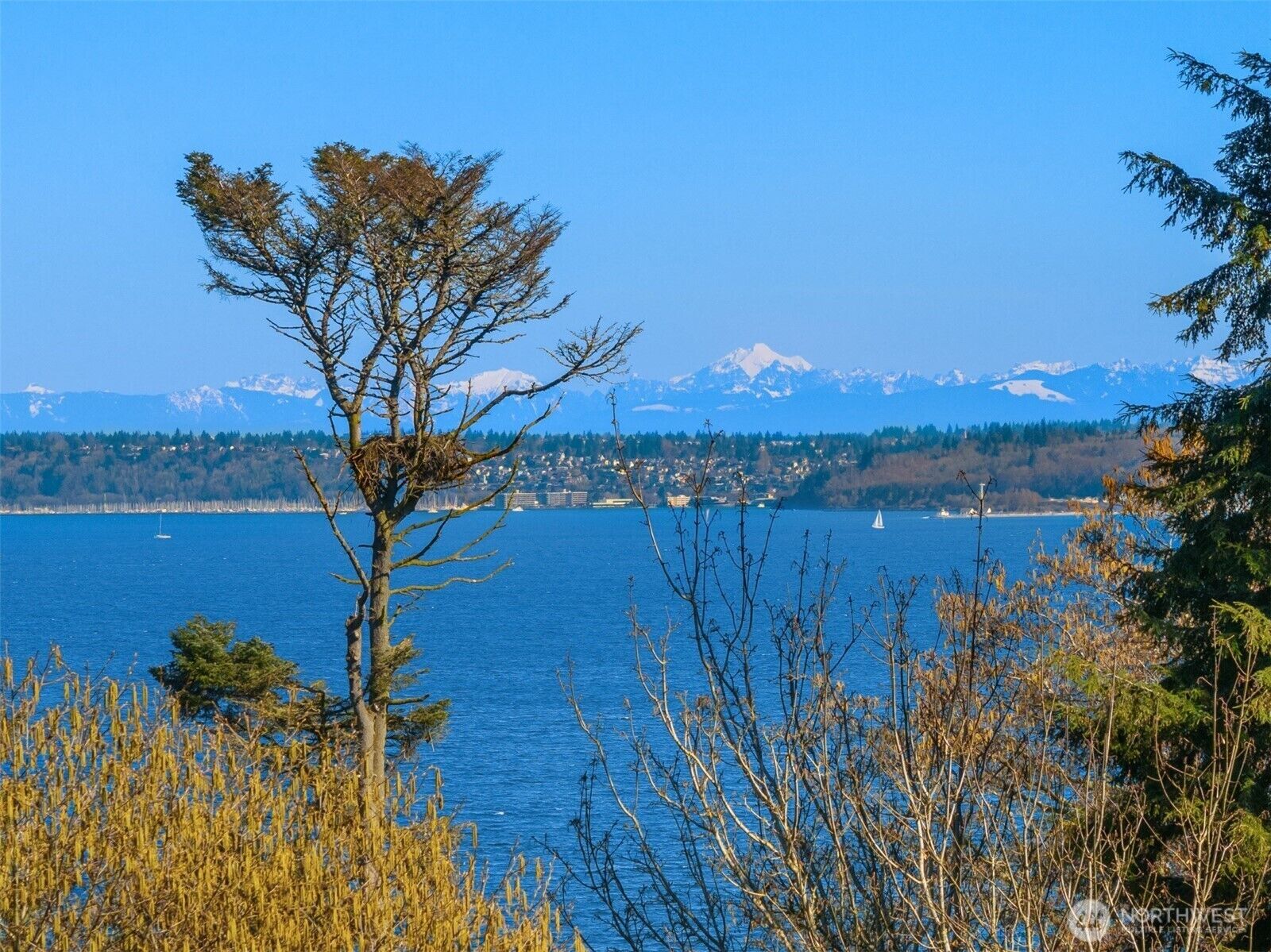 Property Photo:  10700 NE Broomgerrie Road  WA 98110 