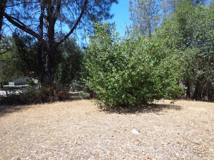 Property Photo:  Elizabeth Street  CA 96019 