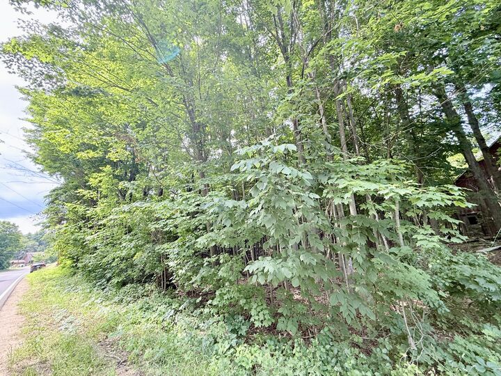 Property Photo: 0 Chasm Road Lot 2 NY 12944