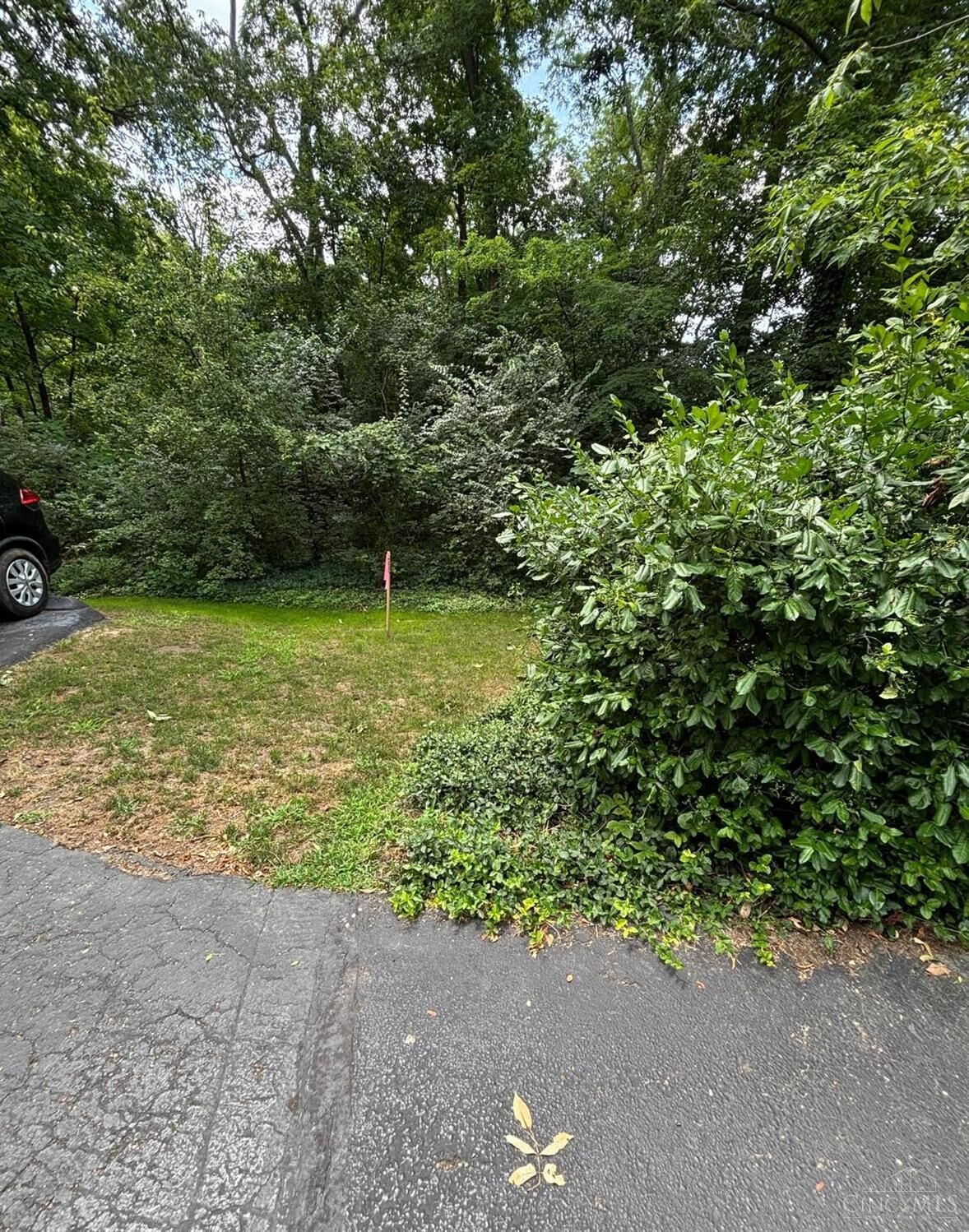 Property Photo:  12102 Paulmeadows Drive  OH 45249 