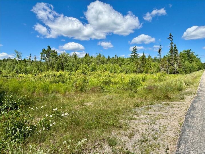 2.24 Acres McLeod Street — photo 1