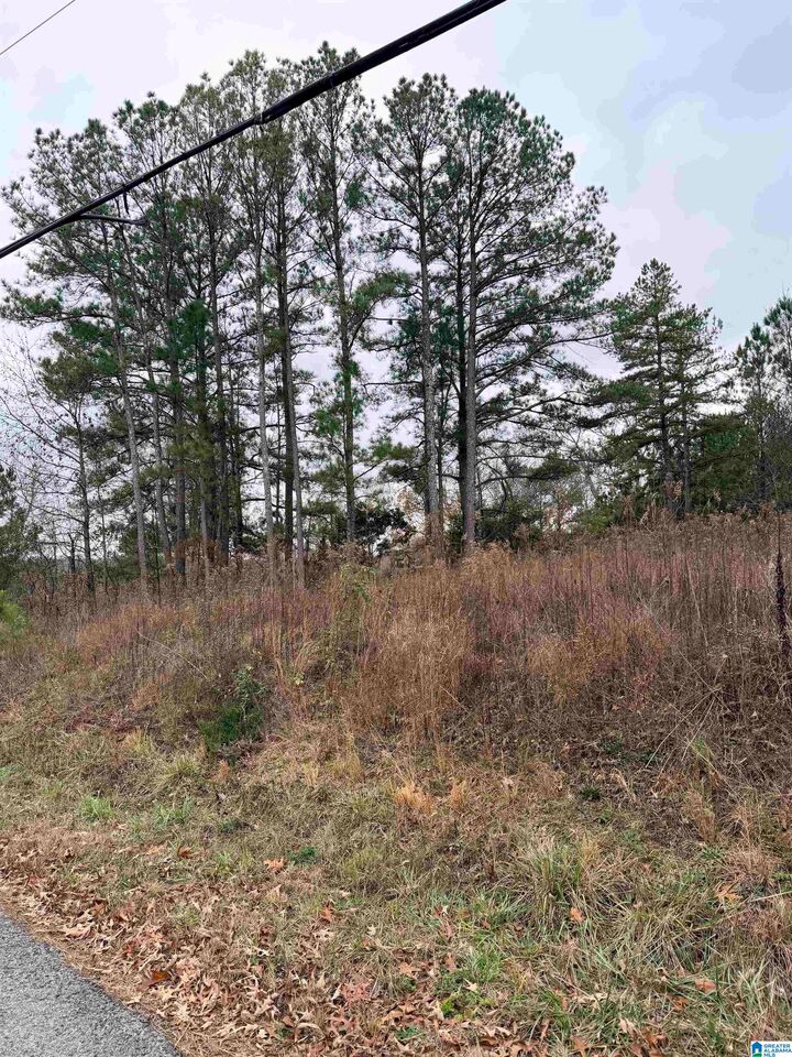 Property Photo: 0 Indian Hills Road 0 AL 35079