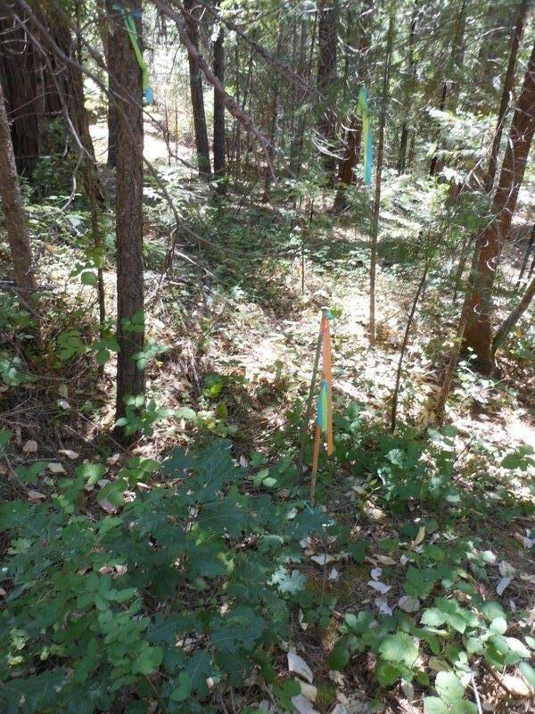 Property Photo: 11004 Sutter Way CA 95959