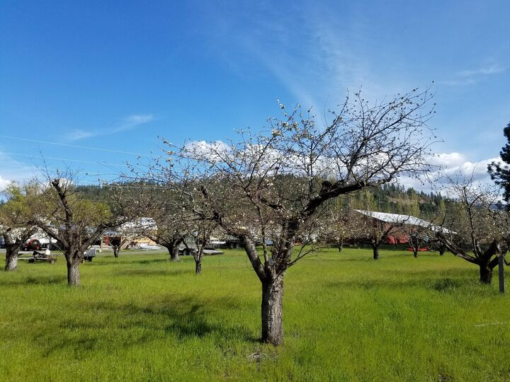 Property Photo: 1244 Peachcrest Rd WA 99141