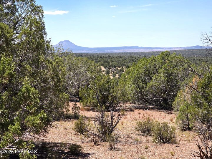 Property Photo:  3200 W Poppy Road  AZ 86320 