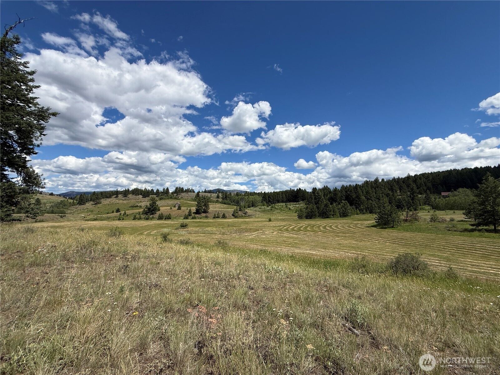 Property Photo:  42  Tedesco Road  WA 99166 