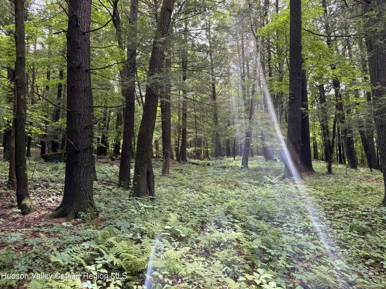 Property Photo: Tbd Green Lake NY 12015