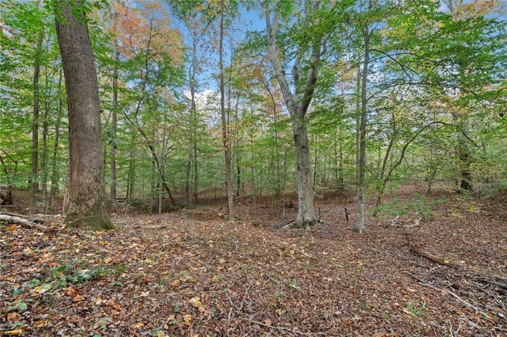 Property Photo: 000 Ammons Drive GA 30183