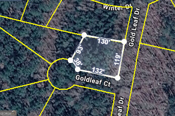 Property Photo:  0 Gold Leaf Drive  GA 30220 