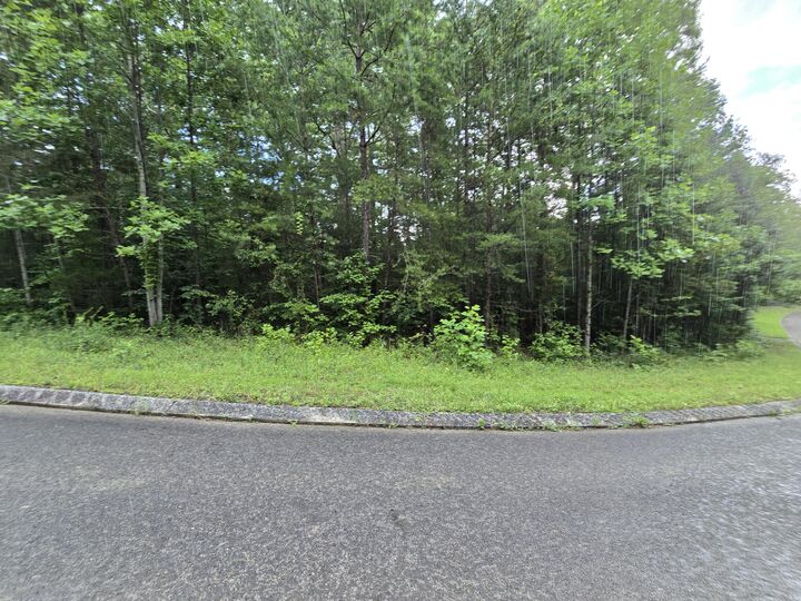 Property Photo:  Lot 156 Lower Brow Road  TN 37327 