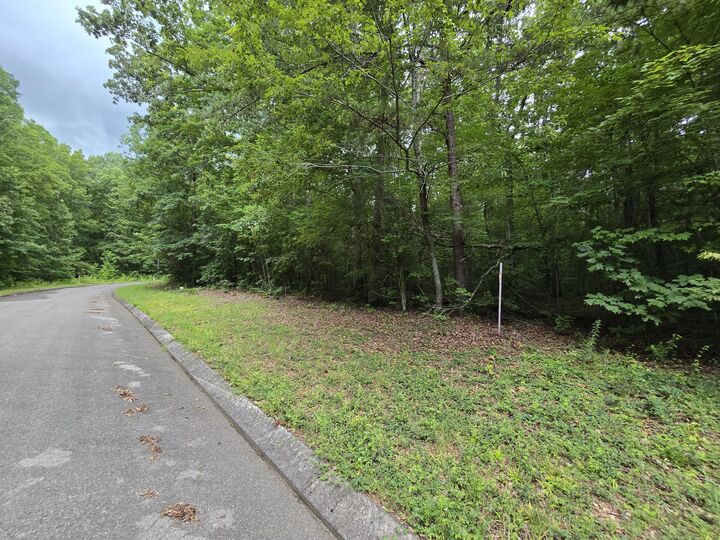 Property Photo:  Lot 140 Lower Brow Road  TN 37327 