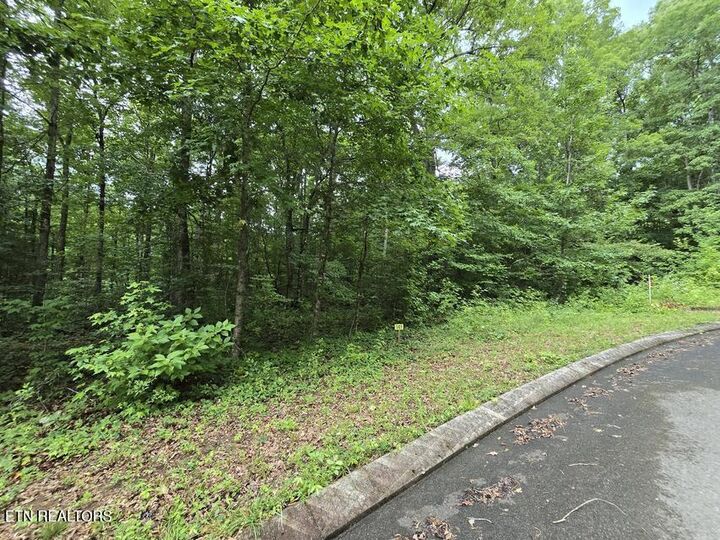 Property Photo:  Lot 141 Lower Brow Rd  TN 37327 