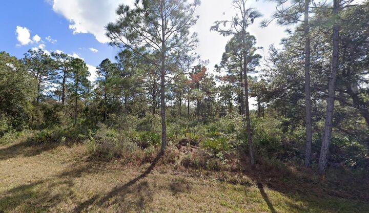Property Photo: 307 Plumosa Drive FL 33855