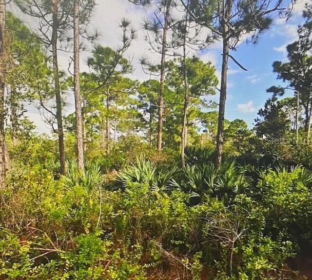 Property Photo: 5550 Tree Top Trail FL 34951