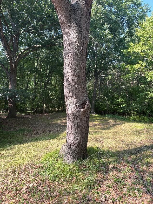 Property Photo: 14420 Roosevelt Road MI 49332