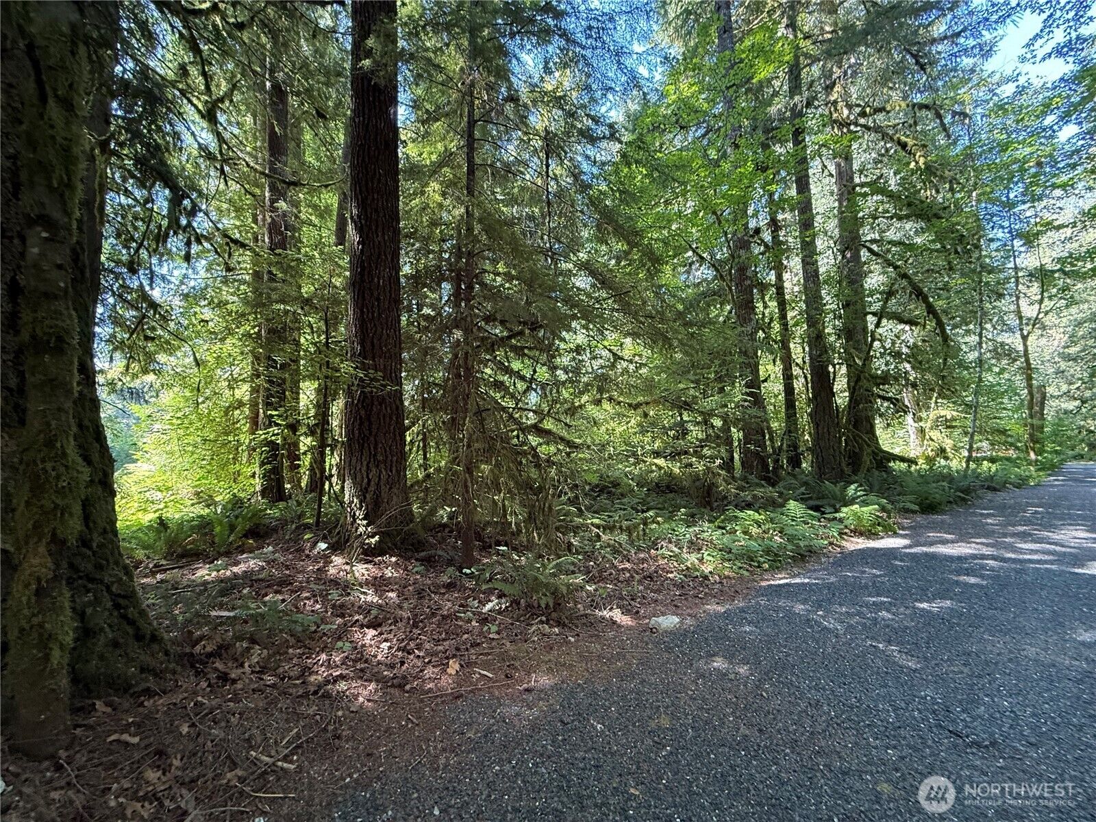 Property Photo: 0 Silver Lake Road WA 98266