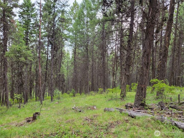Property Photo:  0  Dragon's Lair Lane  WA 99118 