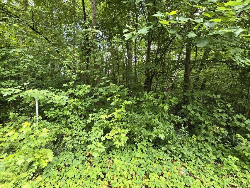 Property Photo:  Lot 133 Lower Brow Road  TN 37327 