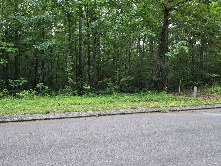 Property Photo:  Lot 144 Lower Brow Road  TN 37327 