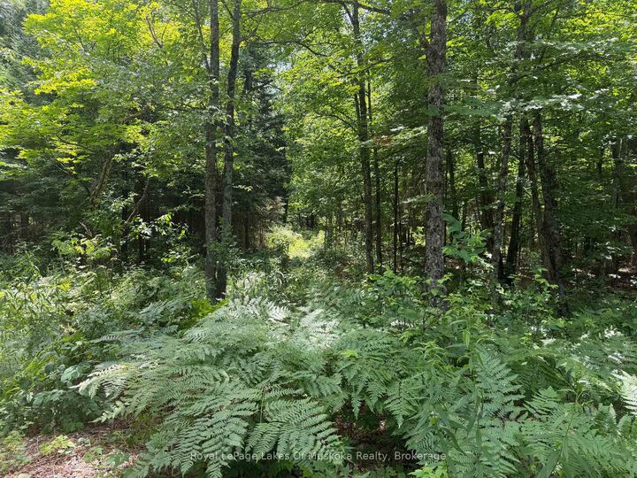 Property Photo: 0 Axe Lake Road ON P0A 1X0
