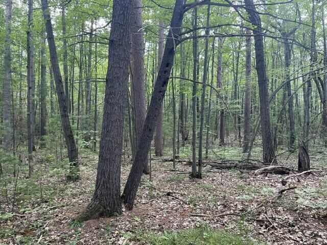 Property Photo:  2680 E Mullett Lake Road  MI 49749 