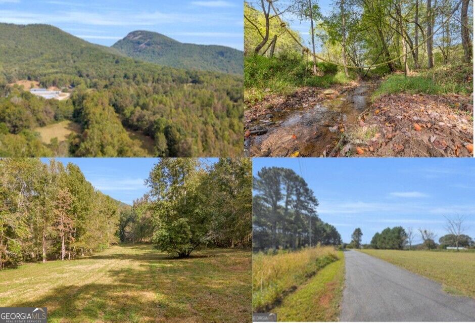 Property Photo:  Tr 6 Turner Road  GA 30528 