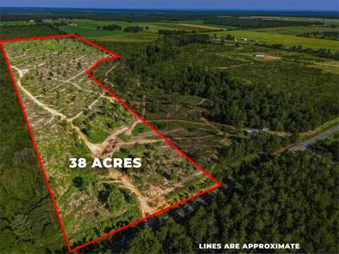 Property Photo:  38 Acres Ga Highway 0240 Conn  GA 31058 