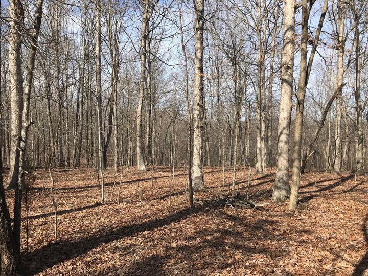 Property Photo:  504 Wilderness Way  TN 37327 