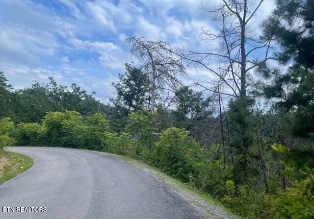 Property Photo: Lot 4 River Birch Way TN 37862