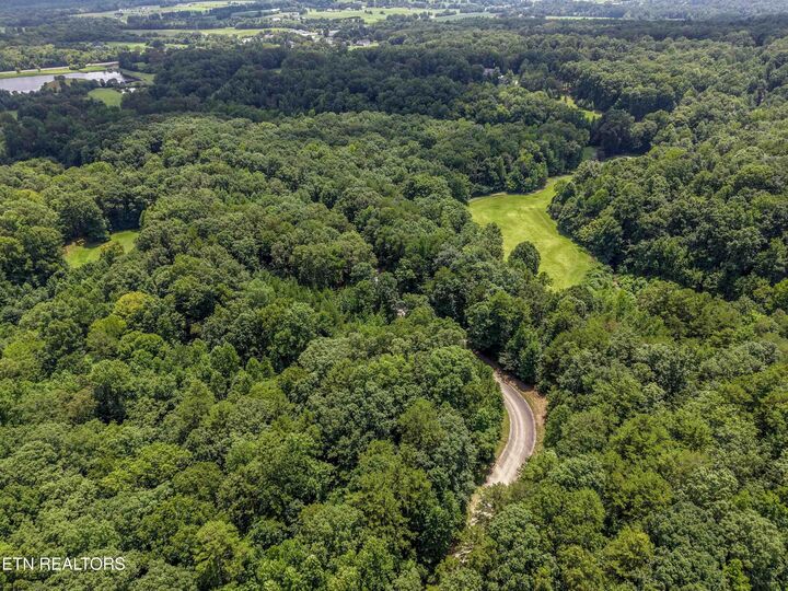Property Photo:  Lot 157 Lower Brow Rd  TN 37327 