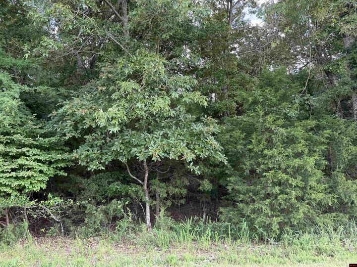 Property Photo: Tract 6 Cr 58 AR 72653